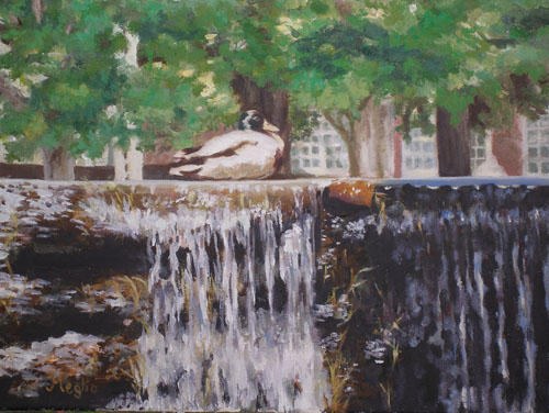 Duck Sitting on Falls